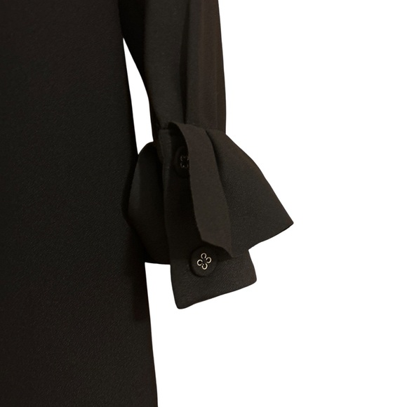 Banana Republic Ruffle-Cuff Button- Back Dress - Size 2P - Picture 8 of 14